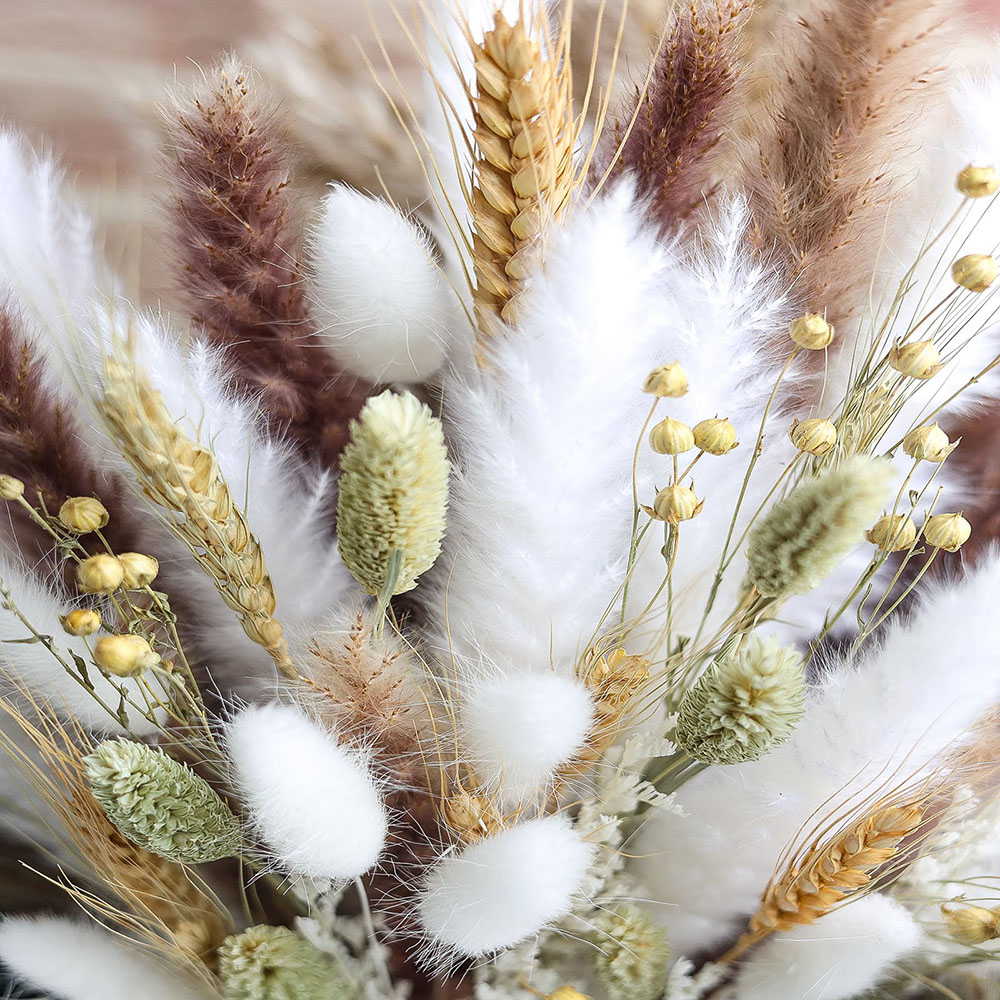 100 шт., сушеный букет из памп – обзор и цена Pampas Grass Decor